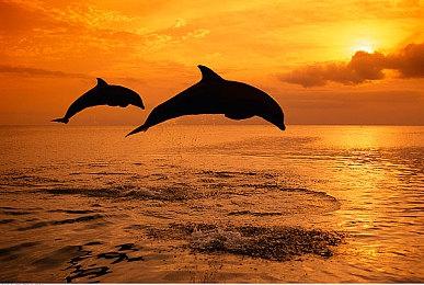 类银河恶魔城游戏《鸦之咒誓》新预告公开 发售时间待定