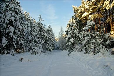顶级音乐制作人加成，猛男战斗爽听得也爽！