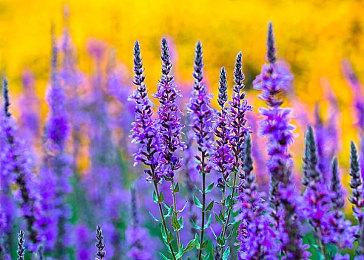 任天堂提醒玩家：Switch 2连电视时不要使用NS1的HDMI线和电源适配器